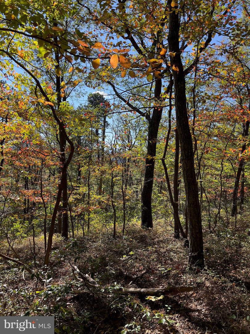 -lot 5a Fox Trl Property Photo 18
