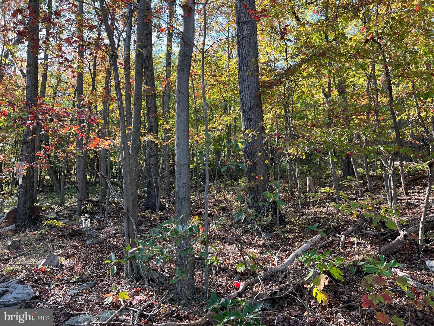 -lot 5a Fox Trl Property Photo 19