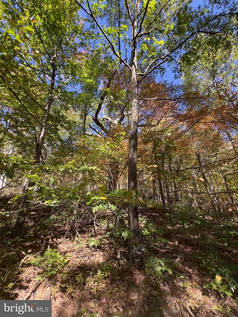 -lot 5a Fox Trl Property Photo 20