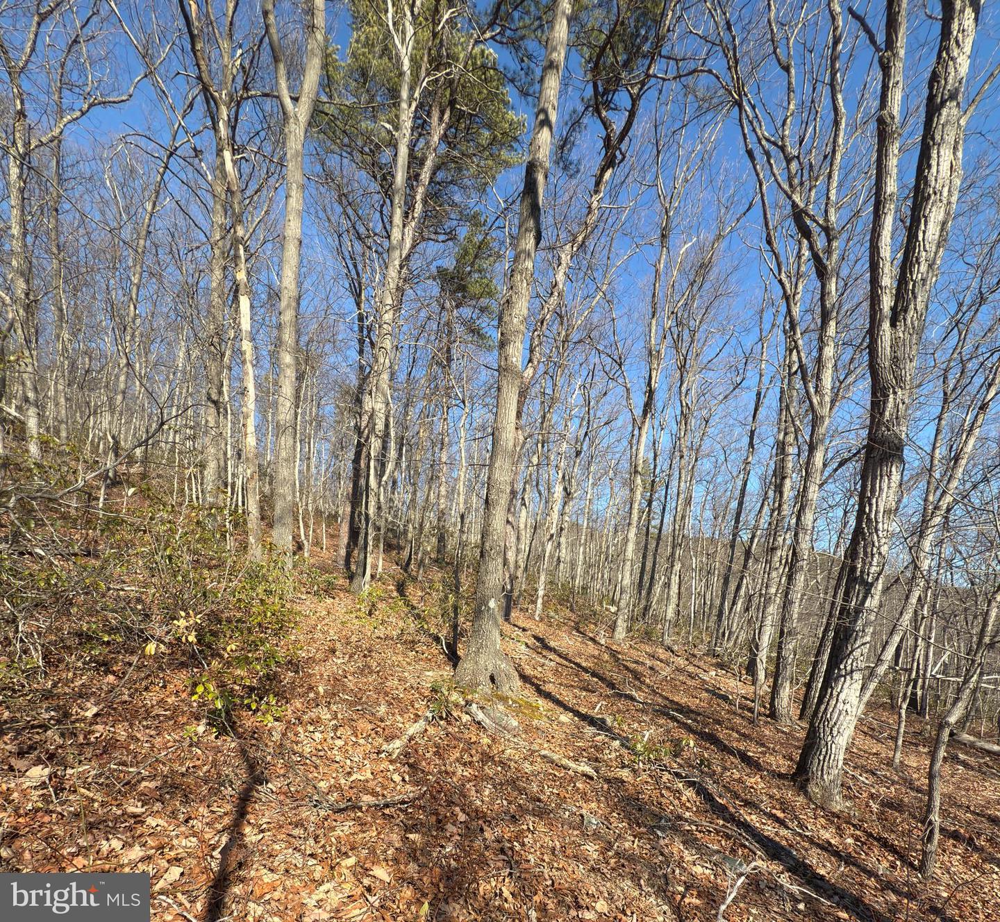 -lot 5a Fox Trl Property Photo 22