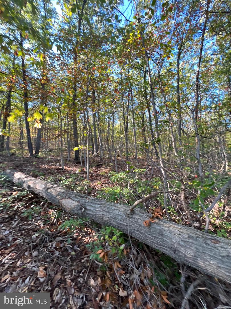 -lot 5a Fox Trl Property Photo 23