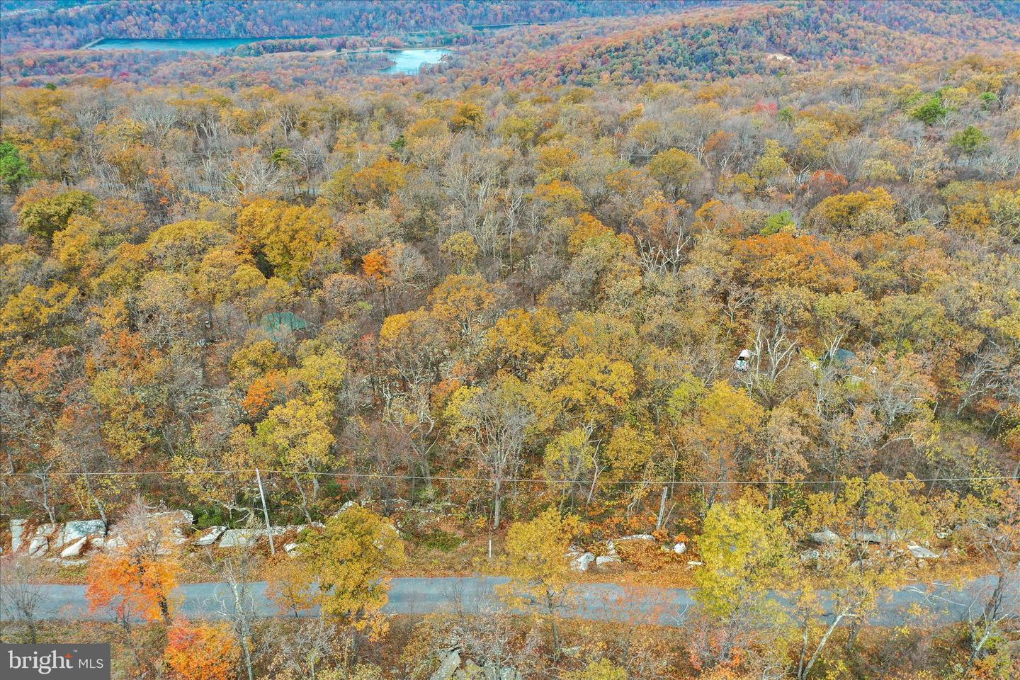 Lot 56 Bear Trail Property Photo 2