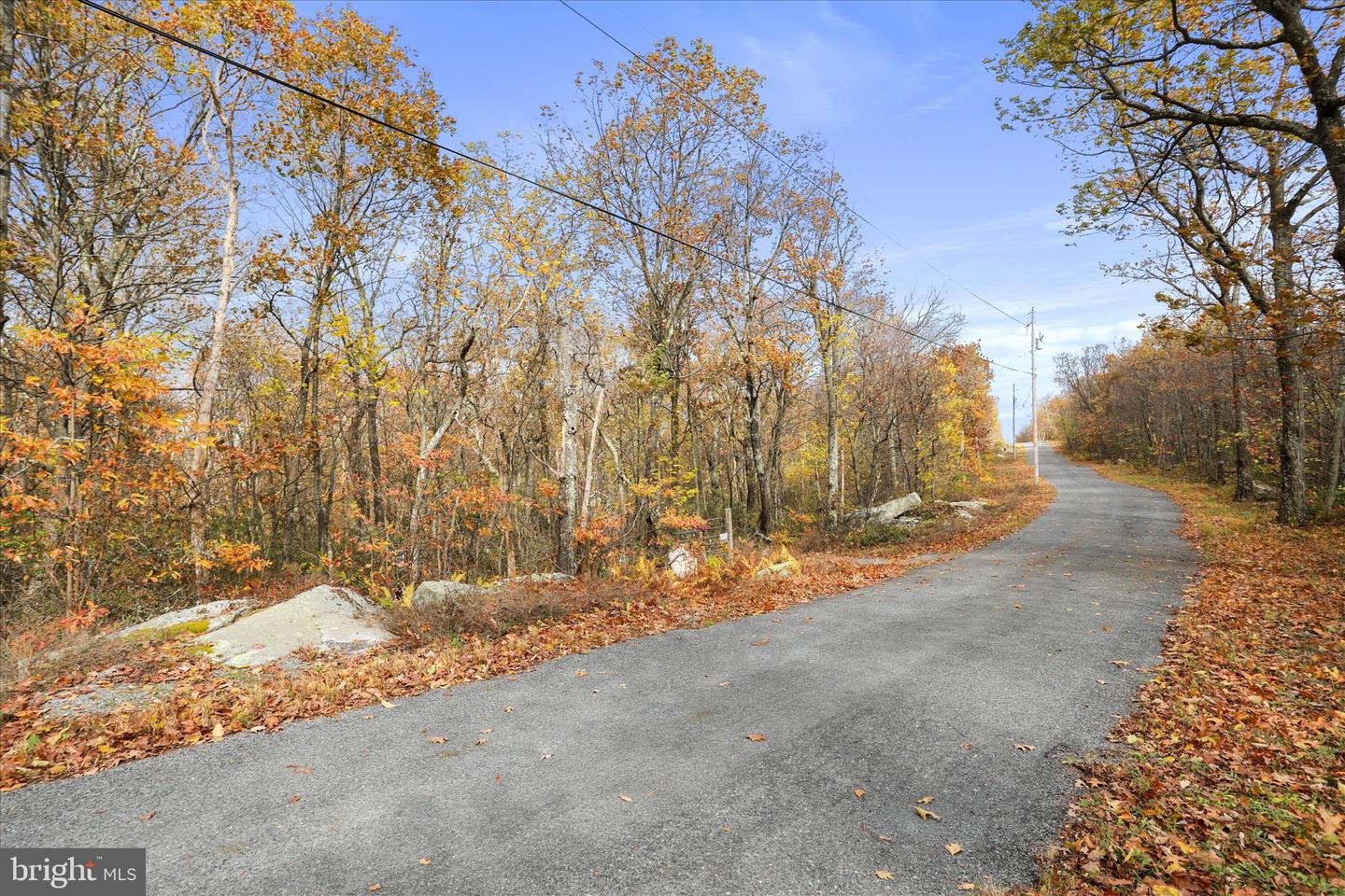 Lot 56 Bear Trail Property Photo 7