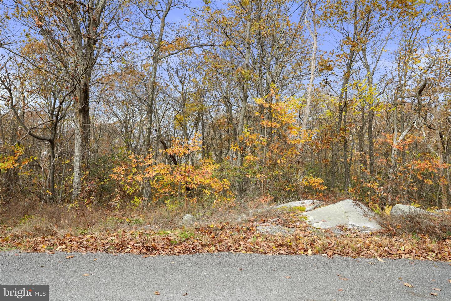Lot 56 Bear Trail Property Photo 8