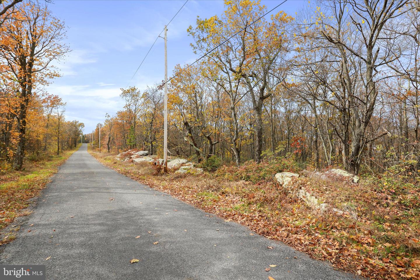 Lot 56 Bear Trail Property Photo 15