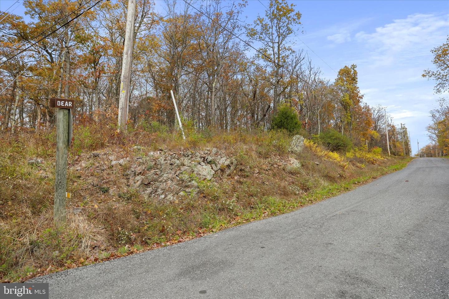 Lot 56 Bear Trail Property Photo 16