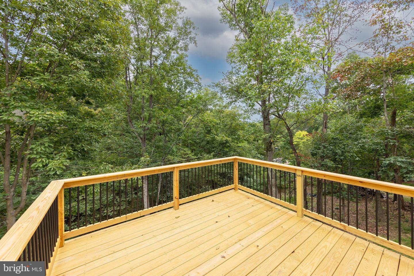 109 Sycamore Pl Property Photo 7