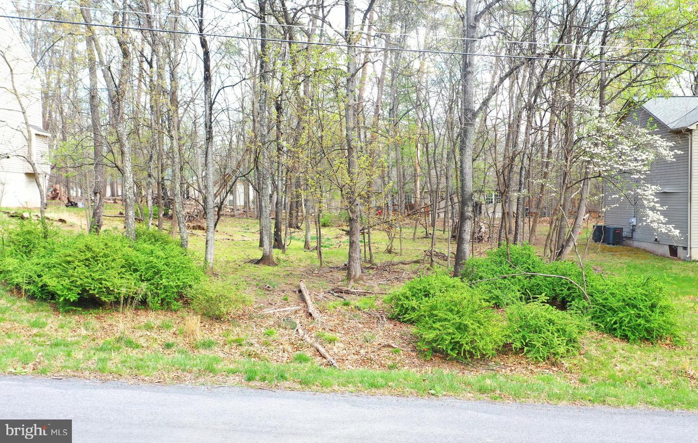 103 Green Leaf Dr Property Photo 2