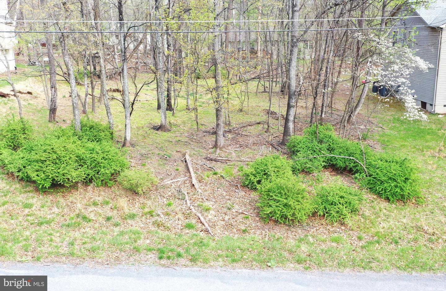 103 Green Leaf Dr Property Photo 3