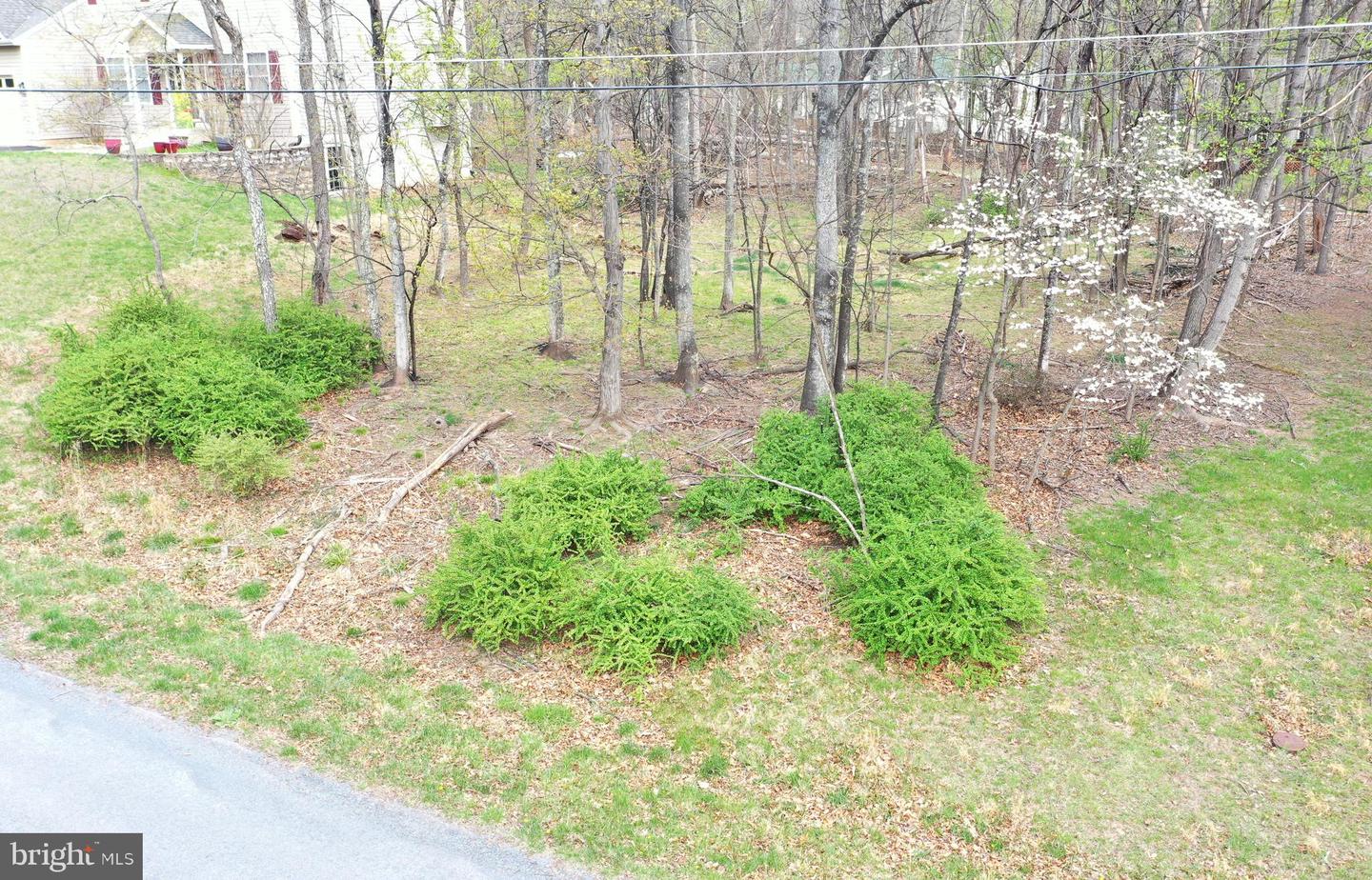 103 Green Leaf Dr Property Photo 4