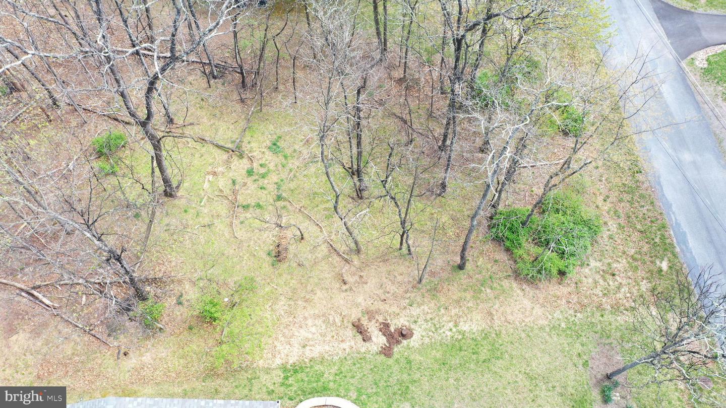 103 Green Leaf Dr Property Photo 7