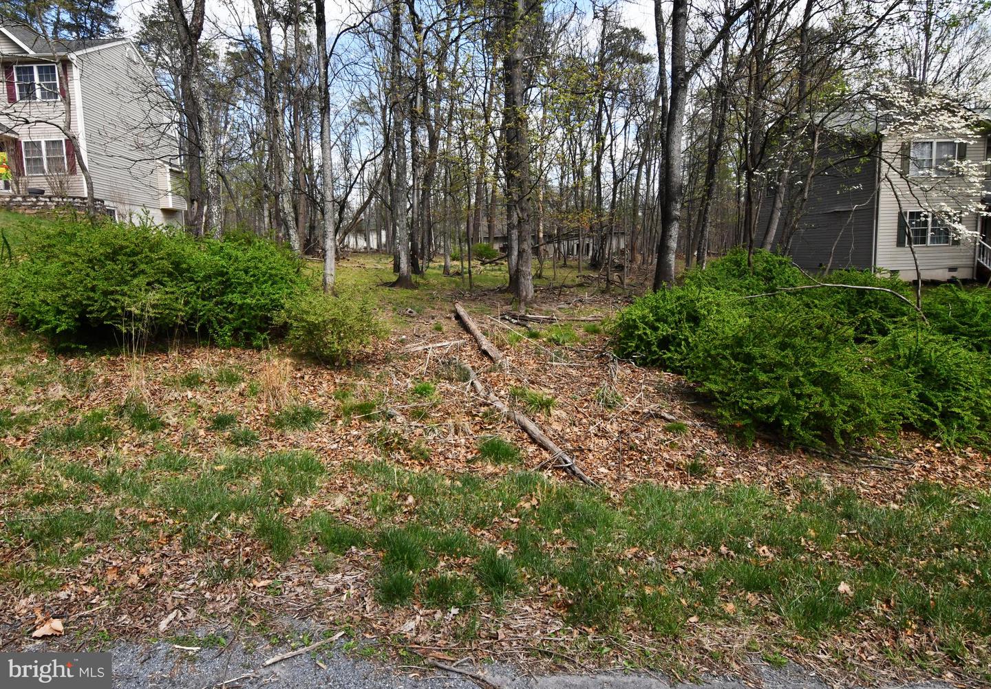 103 Green Leaf Dr Property Photo 8