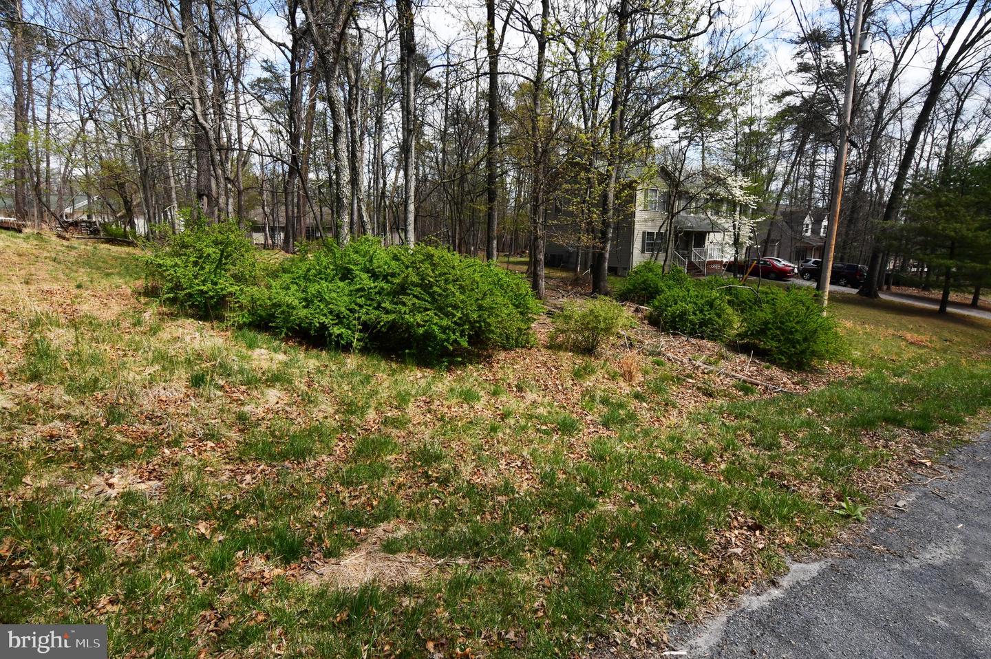 103 Green Leaf Dr Property Photo 9