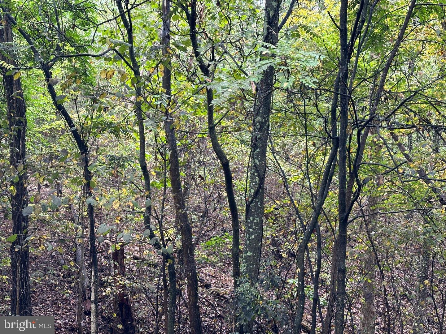 Lot 7 Oak Dr Property Photo 1