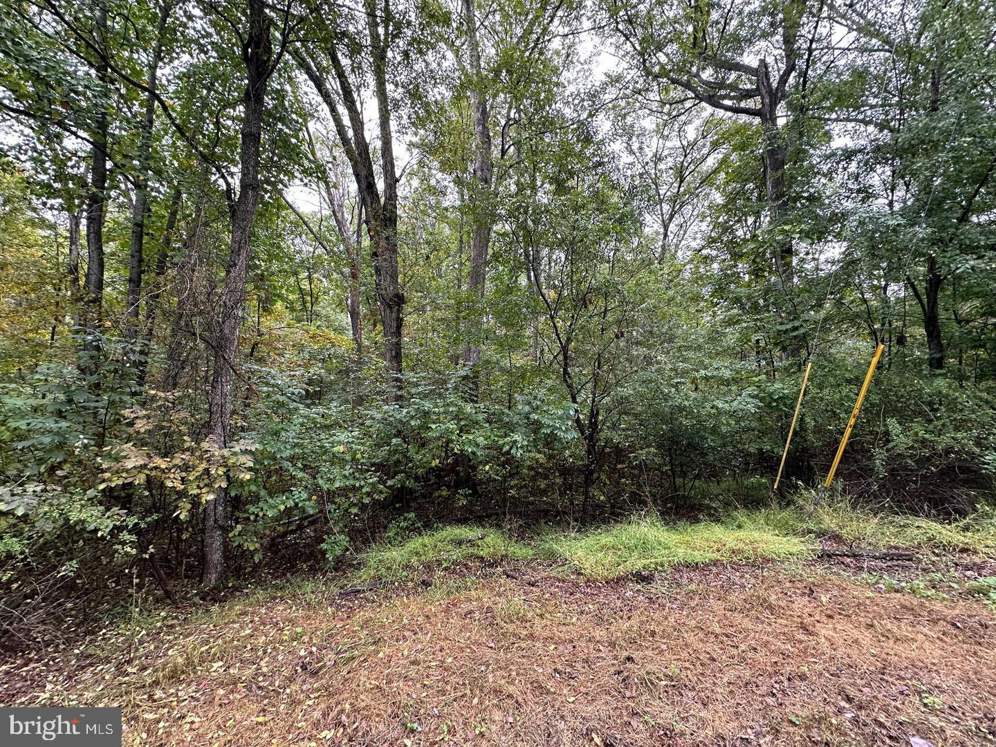 181 Oak Dr Property Photo 1
