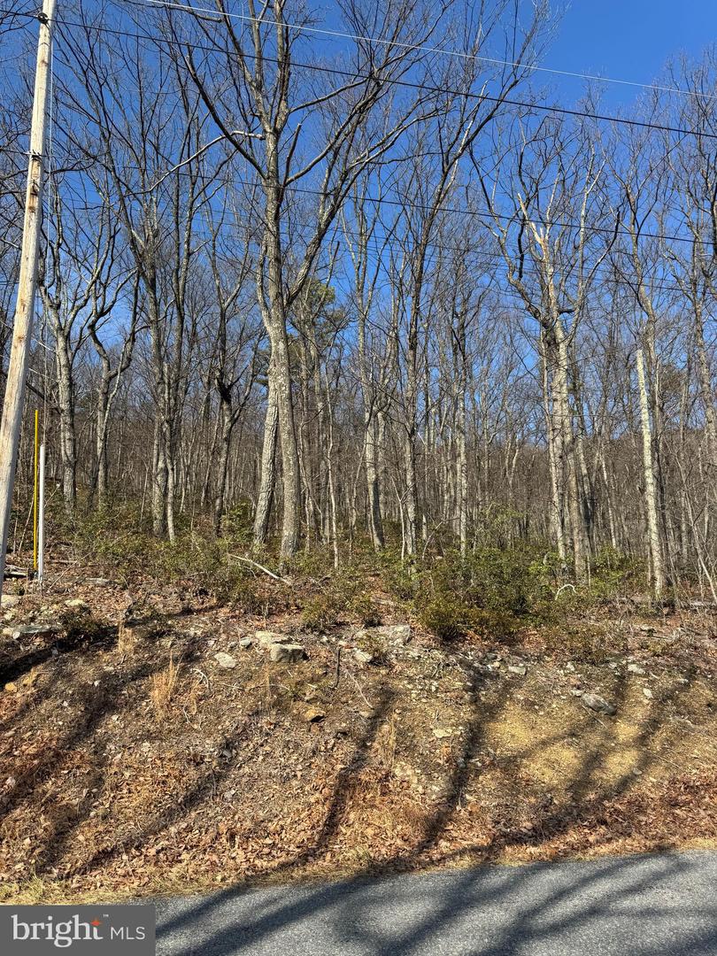 Lot 13 Tomahawk Trail 0 Property Photo 2