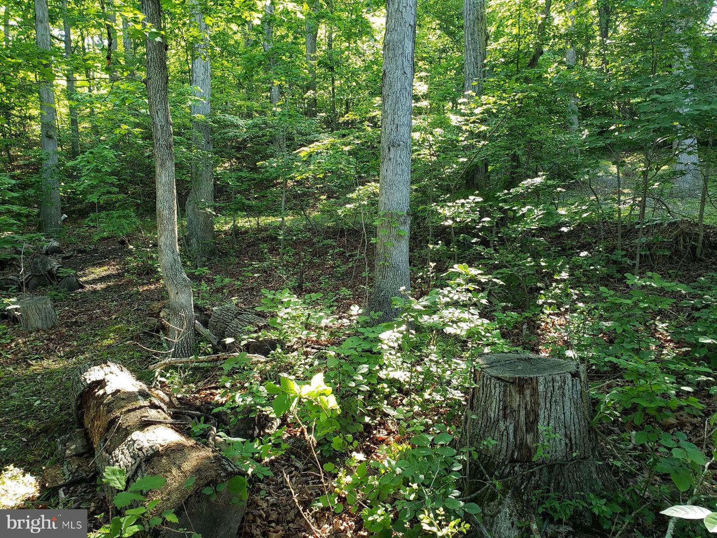 0 Lakeview Property Photo 3