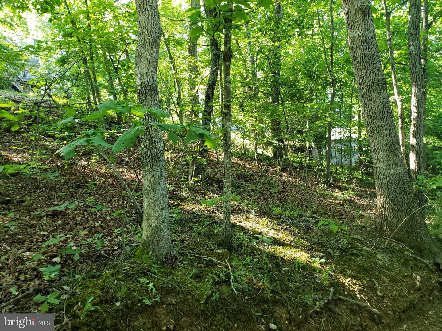 0 Lakeview Property Photo 7