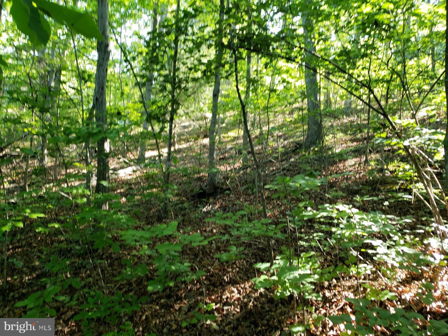 0 Lakeview Property Photo 10