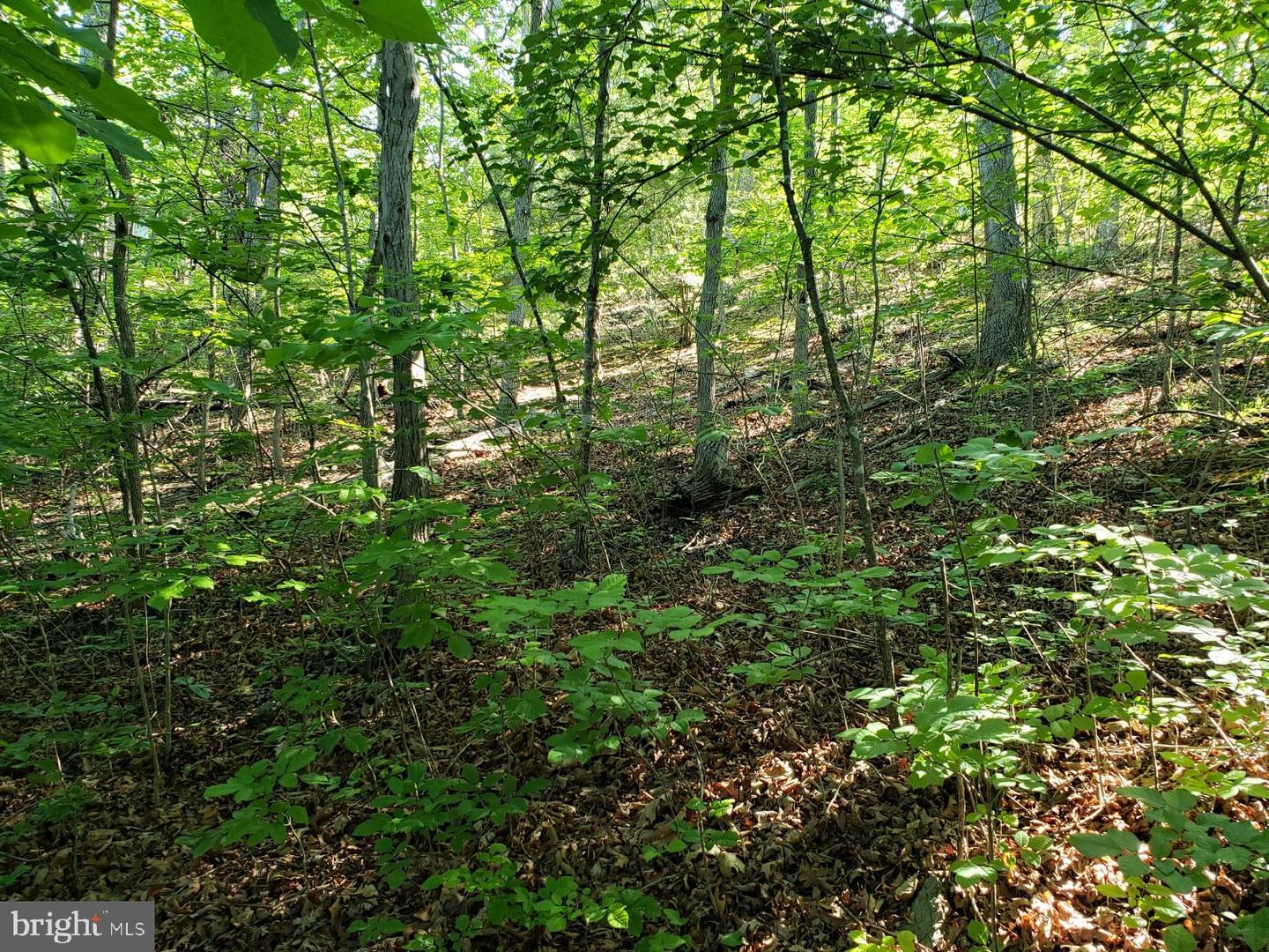0 Lakeview Property Photo 11