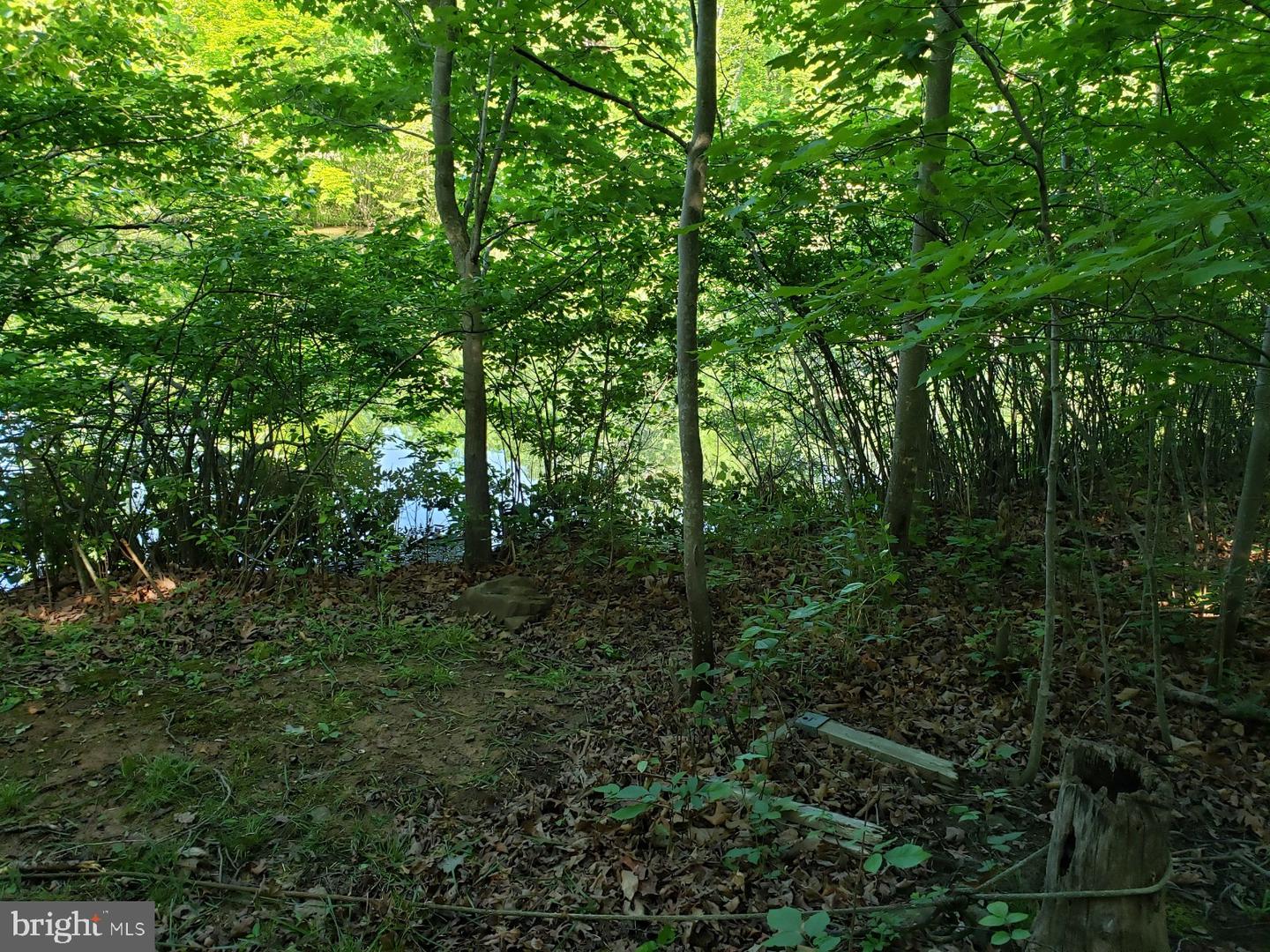 0 Lakeview Property Photo 13