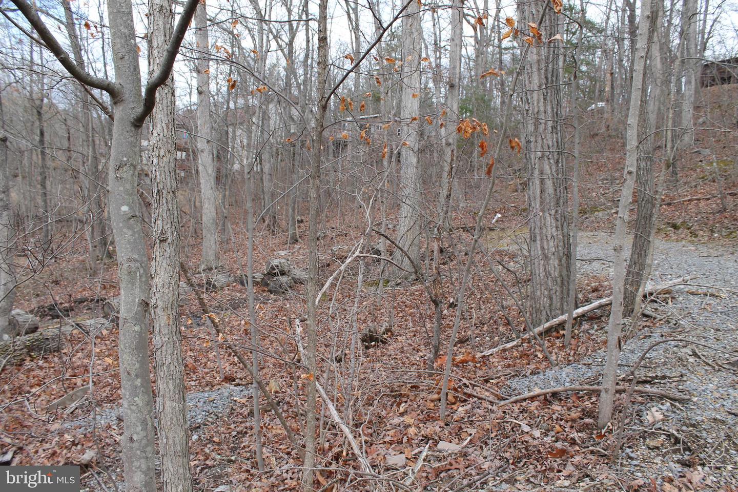 0 Lakeview Property Photo 54