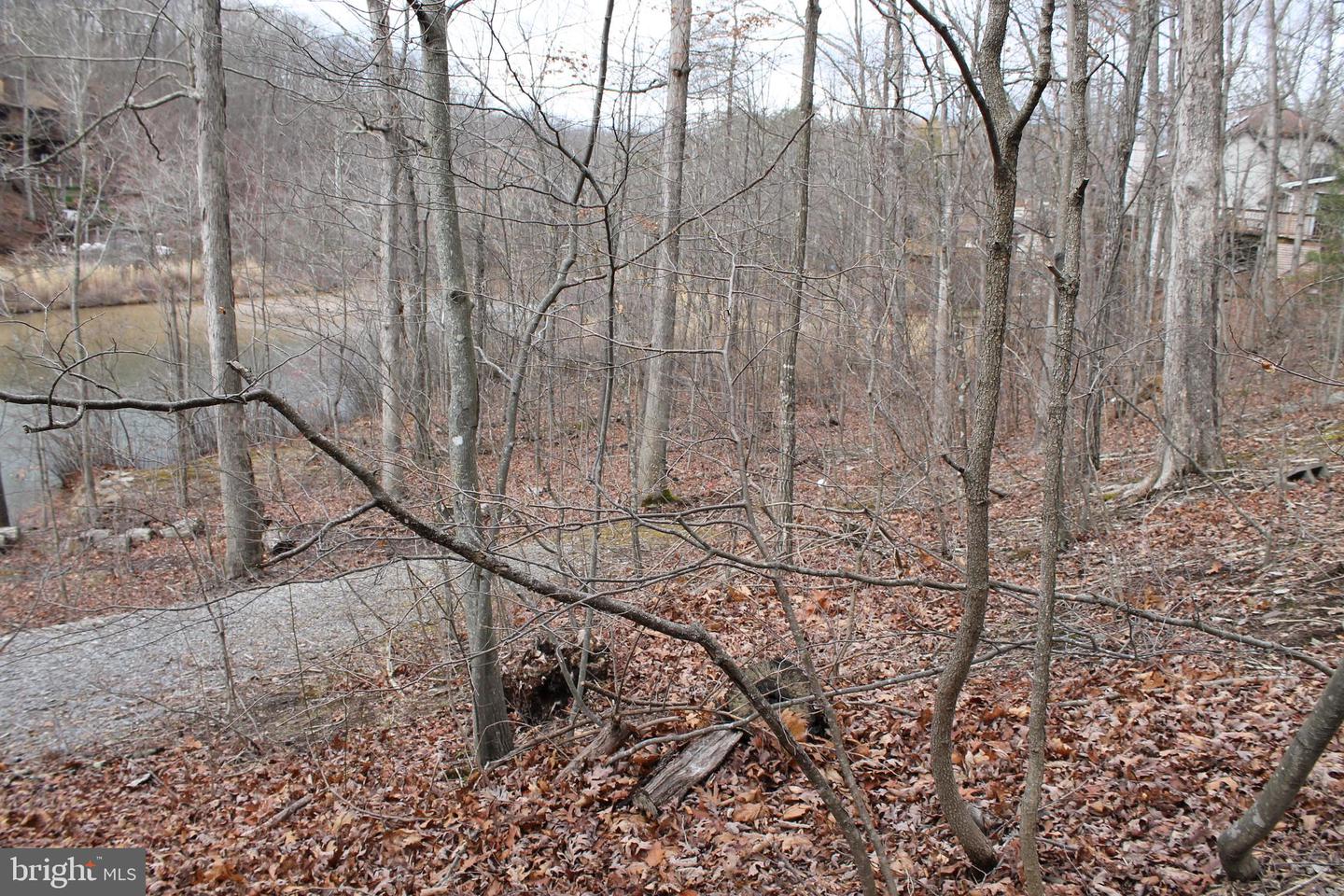 0 Lakeview Property Photo 67