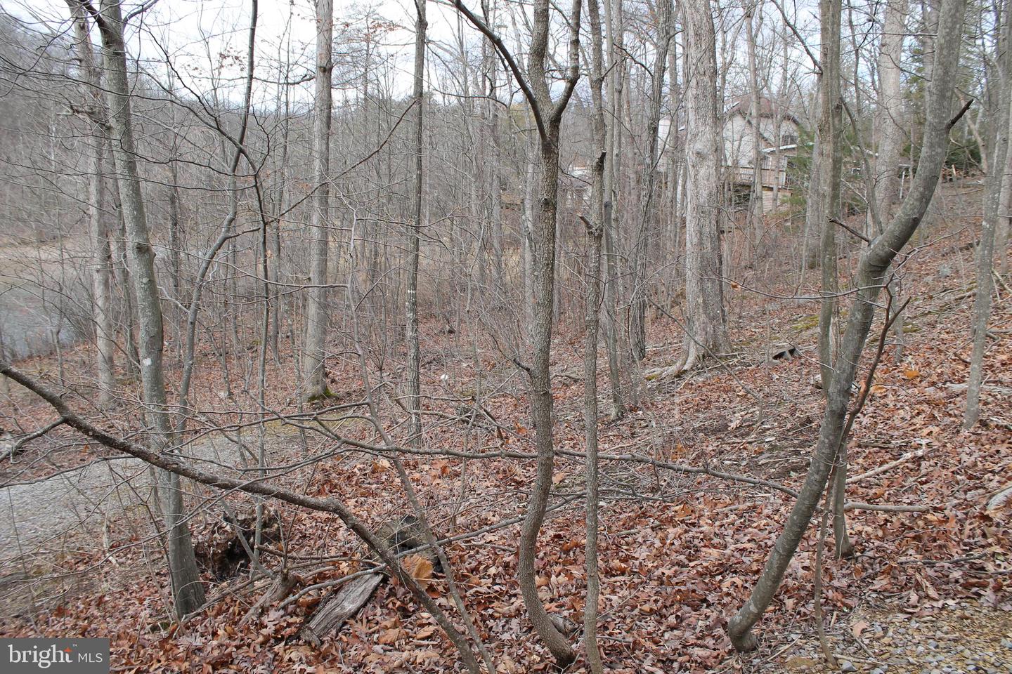 0 Lakeview Property Photo 68