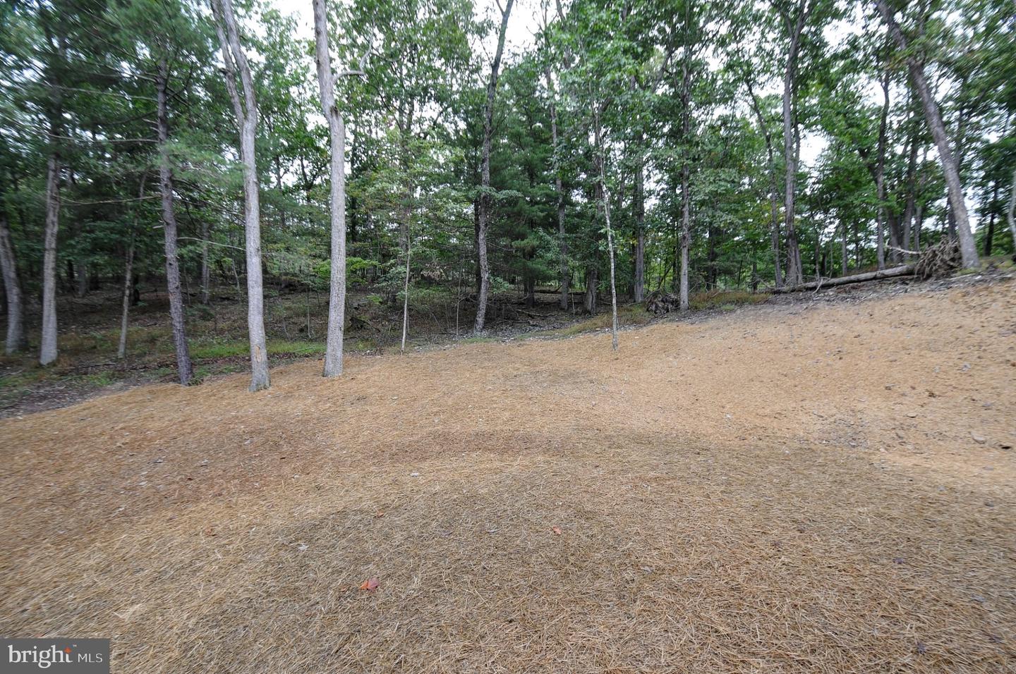 1114 Lakeview Dr Property Photo 29