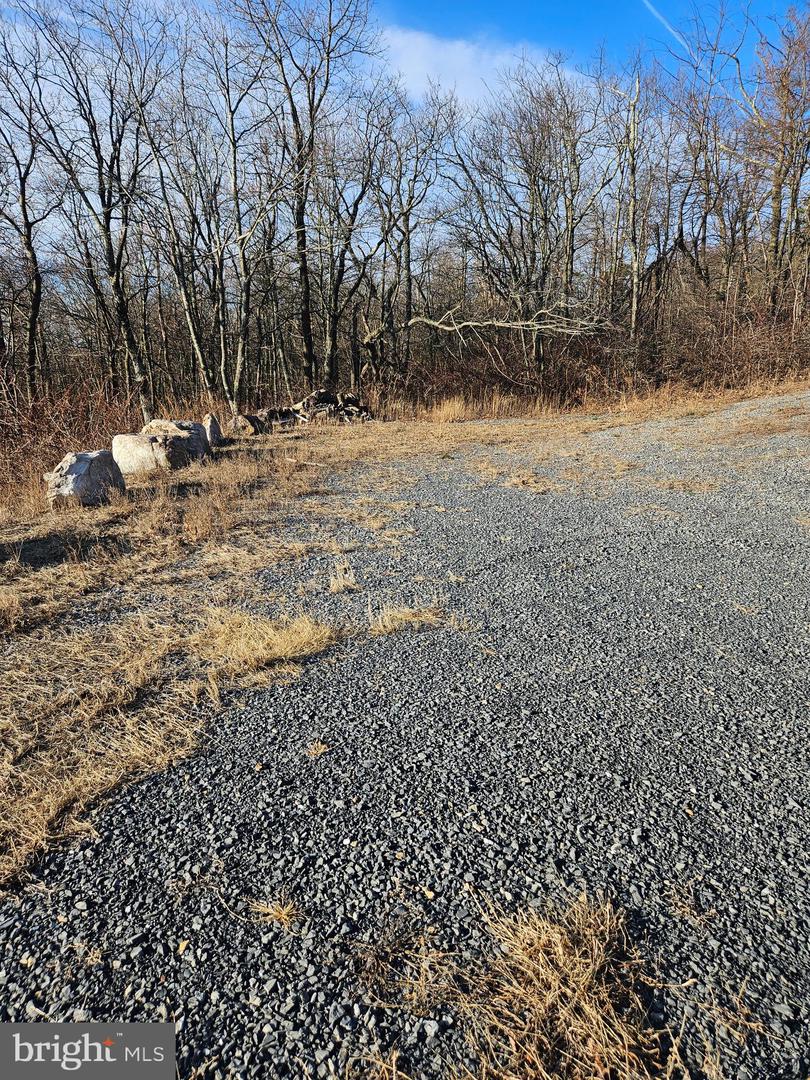 Lot 115 Rockwood Trl Property Photo 8