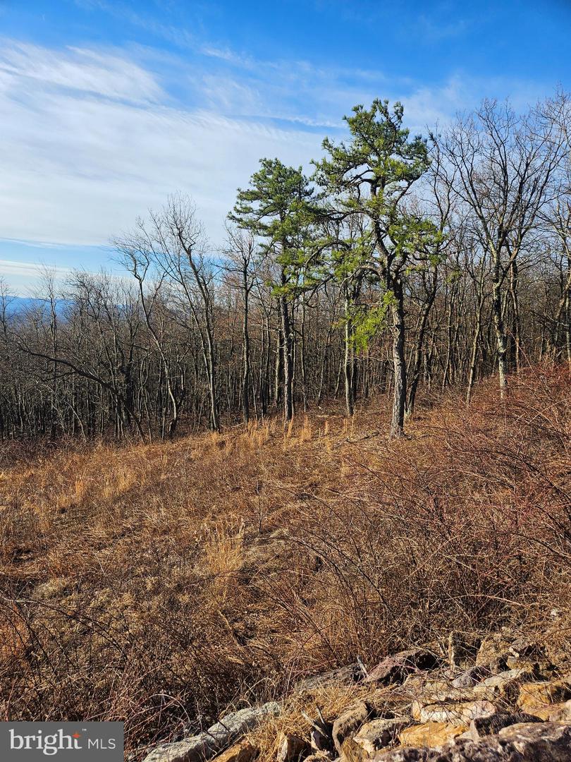 Lot 115 Rockwood Trl Property Photo 10