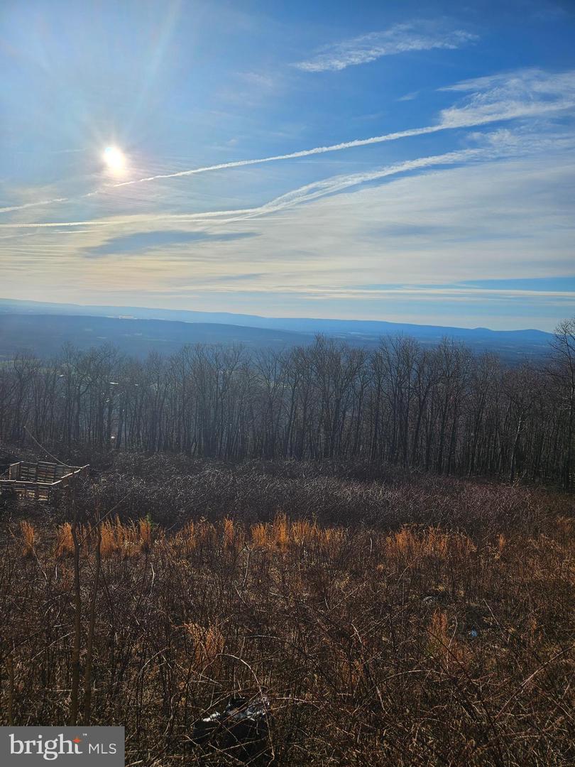 Lot 115 Rockwood Trl Property Photo 11