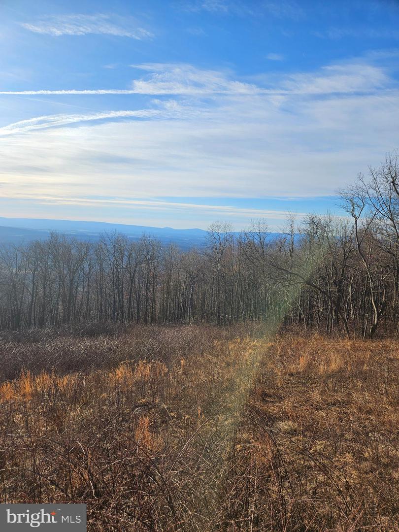 Lot 115 Rockwood Trl Property Photo 12