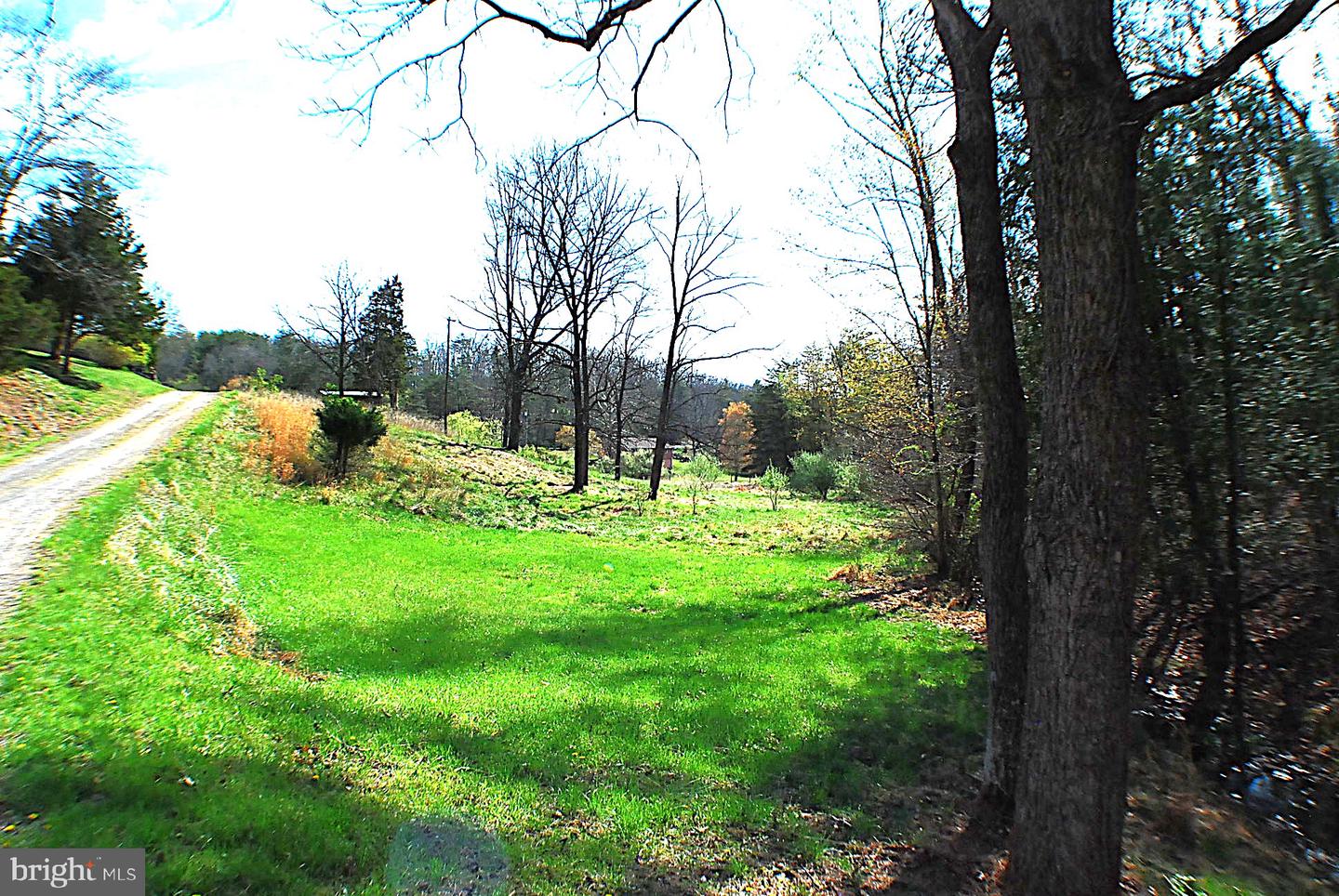235 Peppermint Spring Ln Property Photo 85