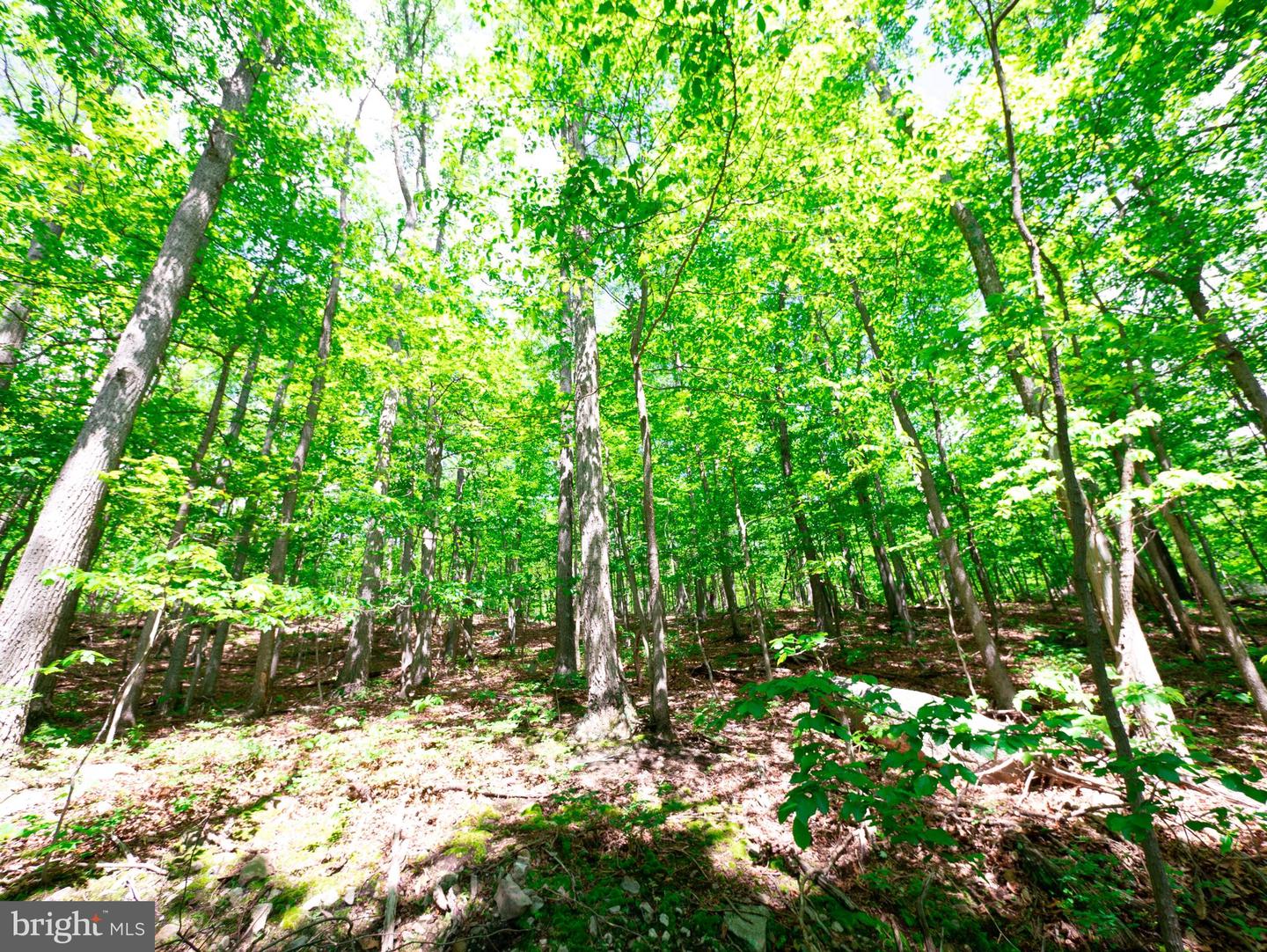 LOTS 8 & 9 ELK TRL Property Photo 1