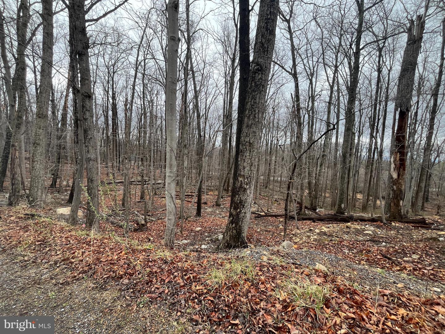 Lot 9 Property Photo 5