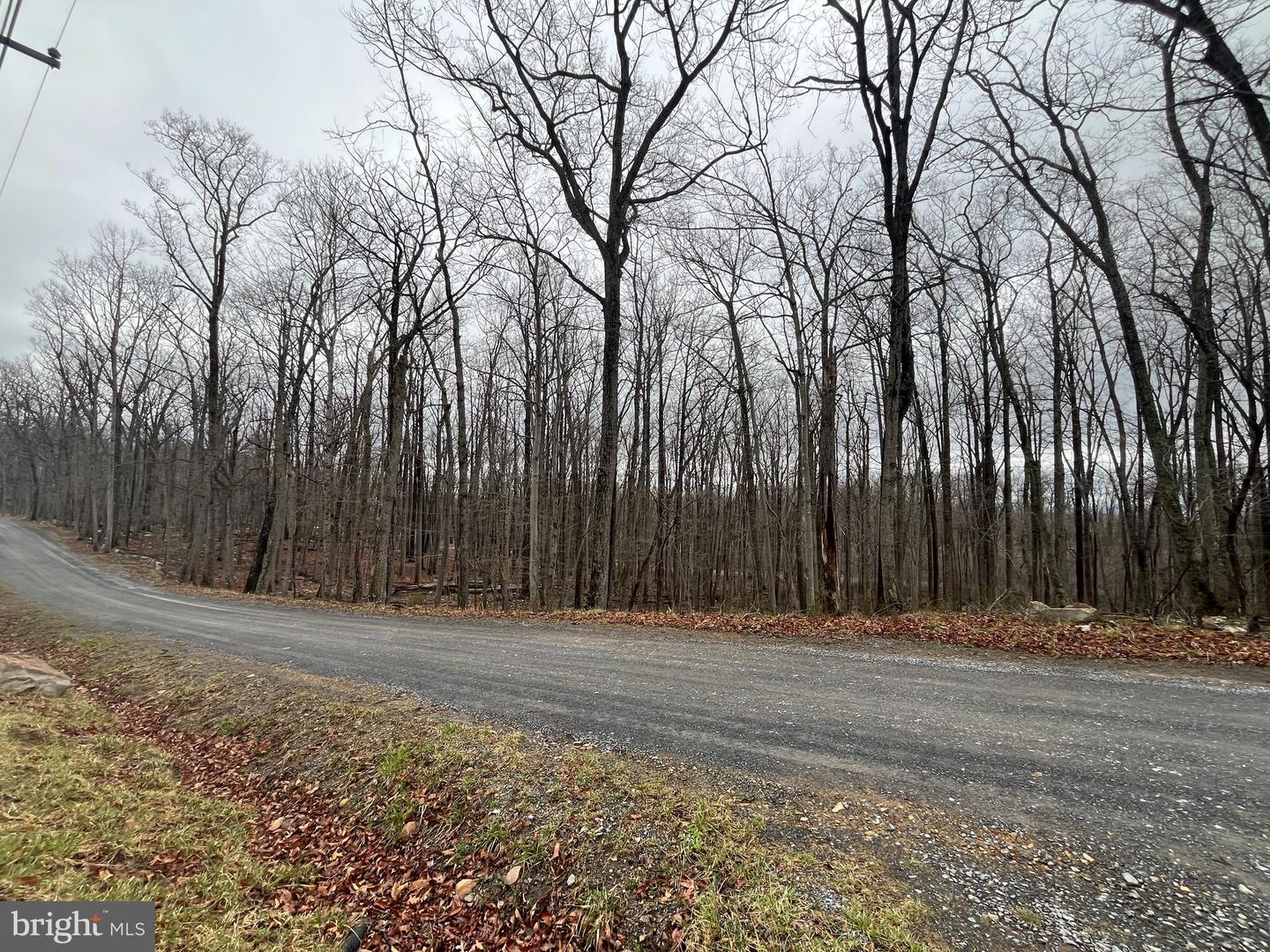 Lot 9 Property Photo 6
