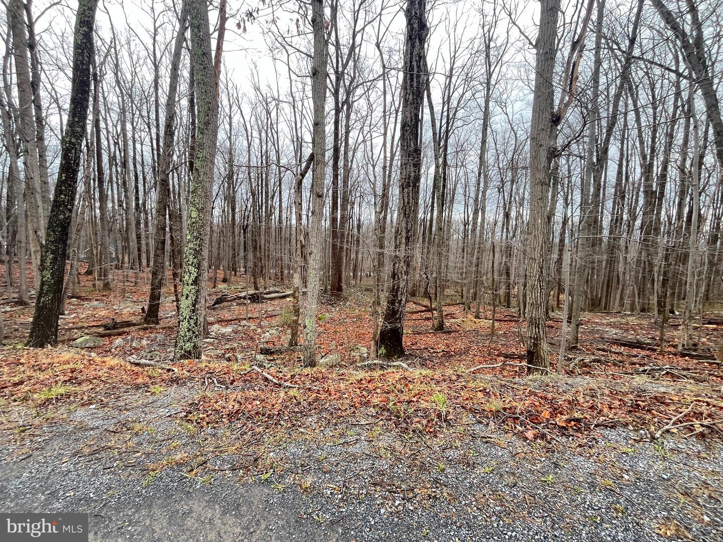 Lot 9 Property Photo 8