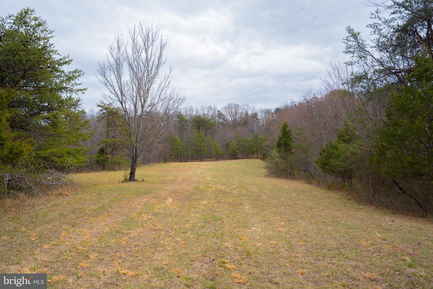 Wardensville Grade Property Photo 1