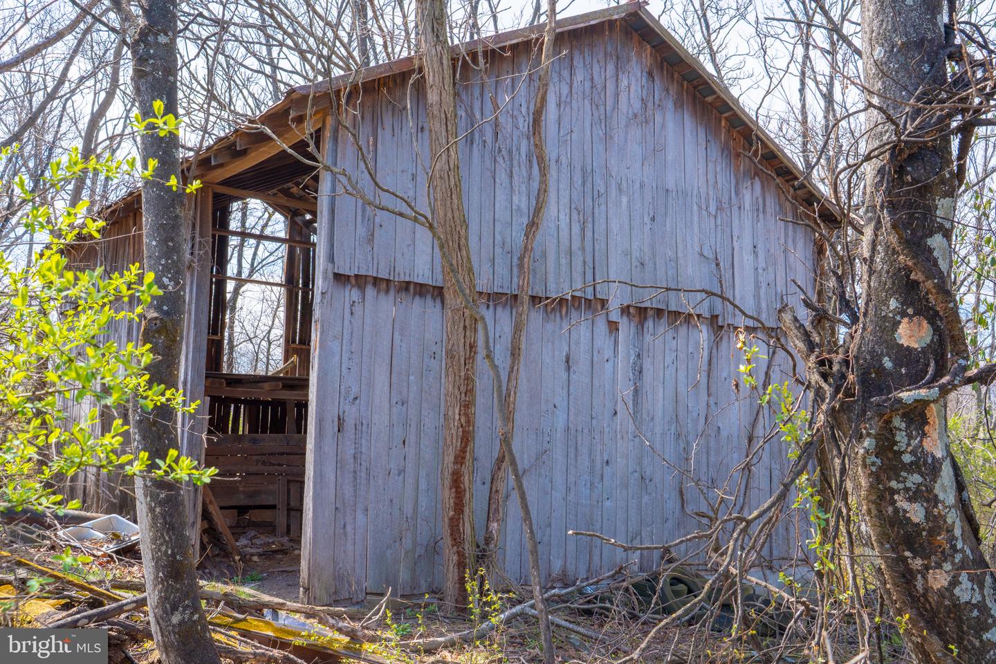 Wardensville Grade Property Photo 3
