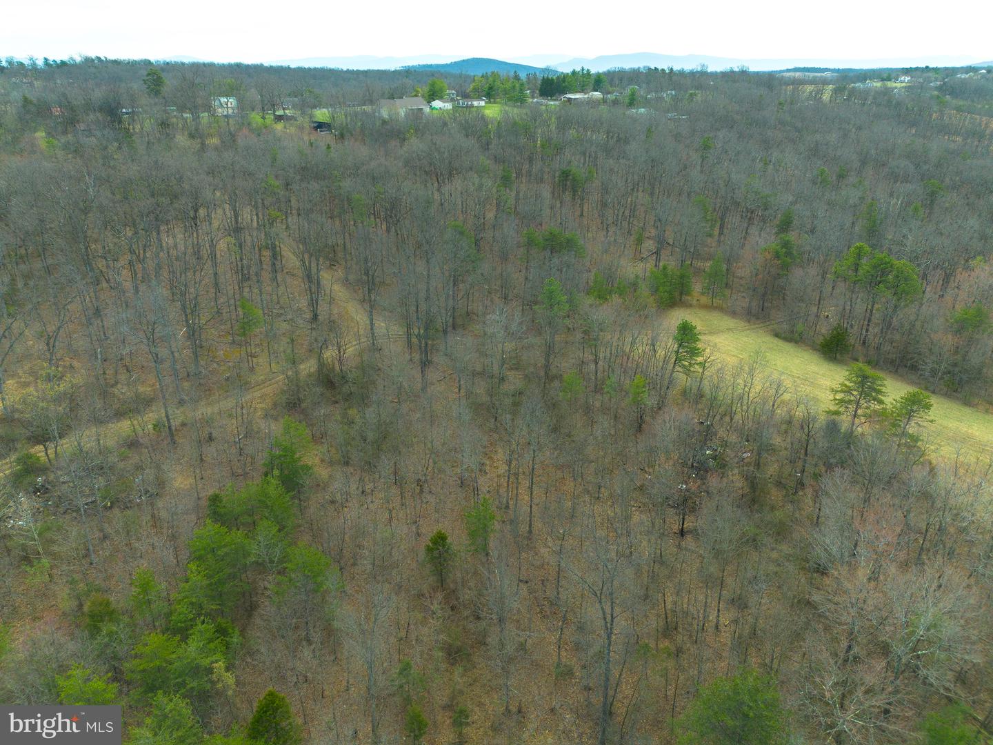 Wardensville Grade Property Photo 5