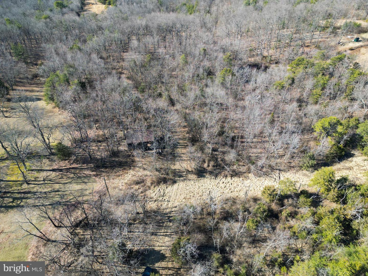Wardensville Grade Property Photo 10