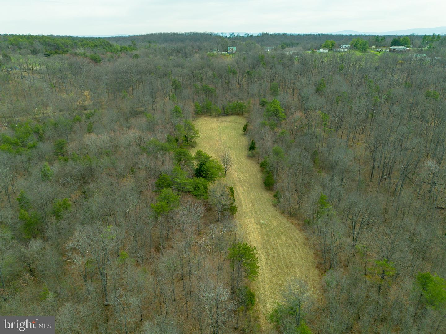Wardensville Grade Property Photo 12