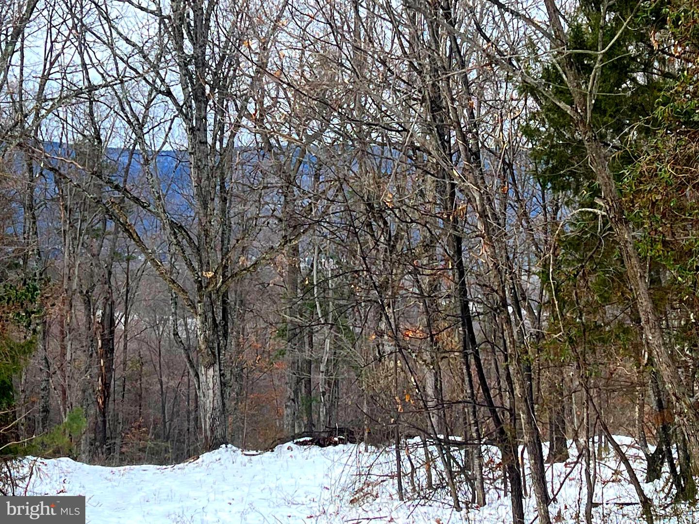 Wardensville Grade Property Photo 19