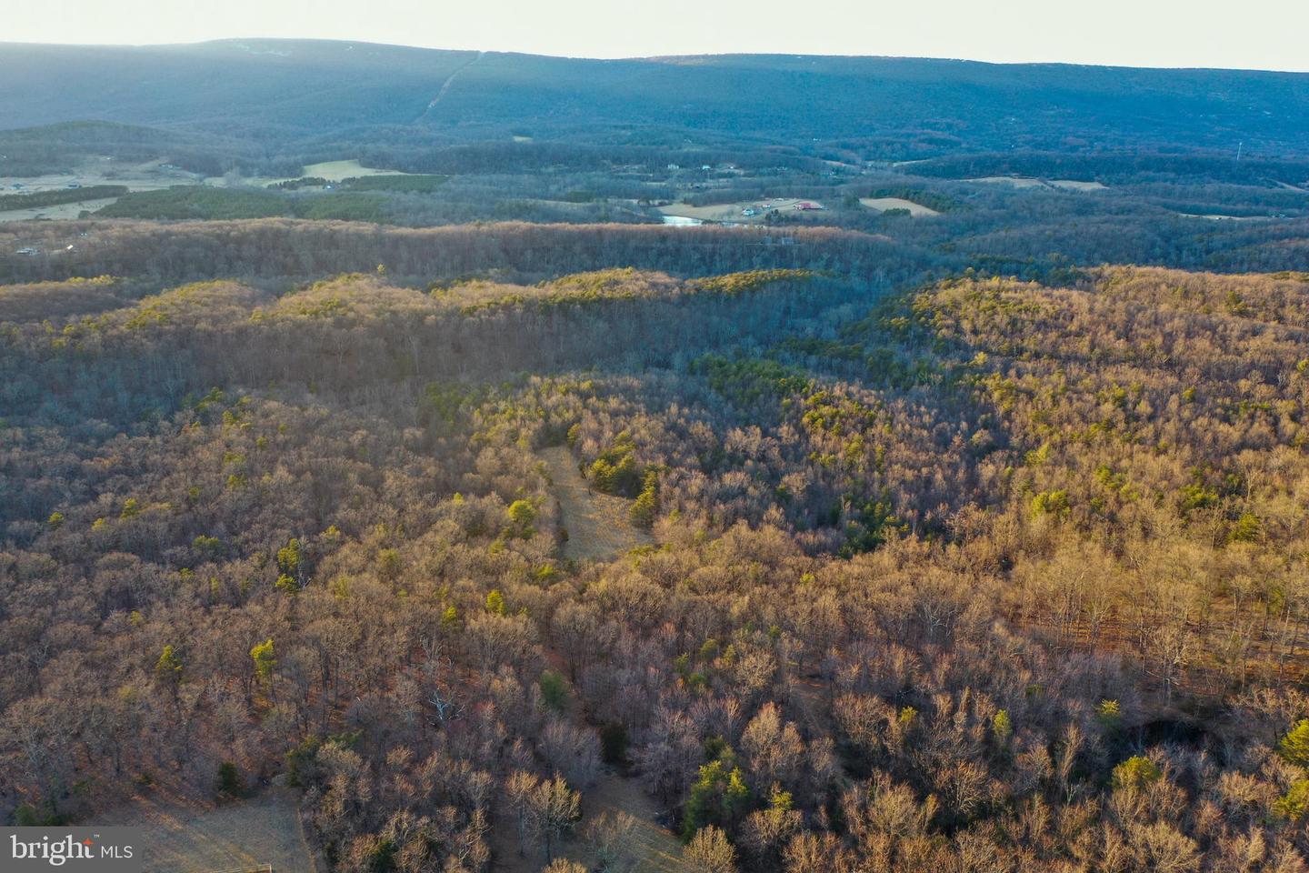 Wardensville Grade Property Photo 29
