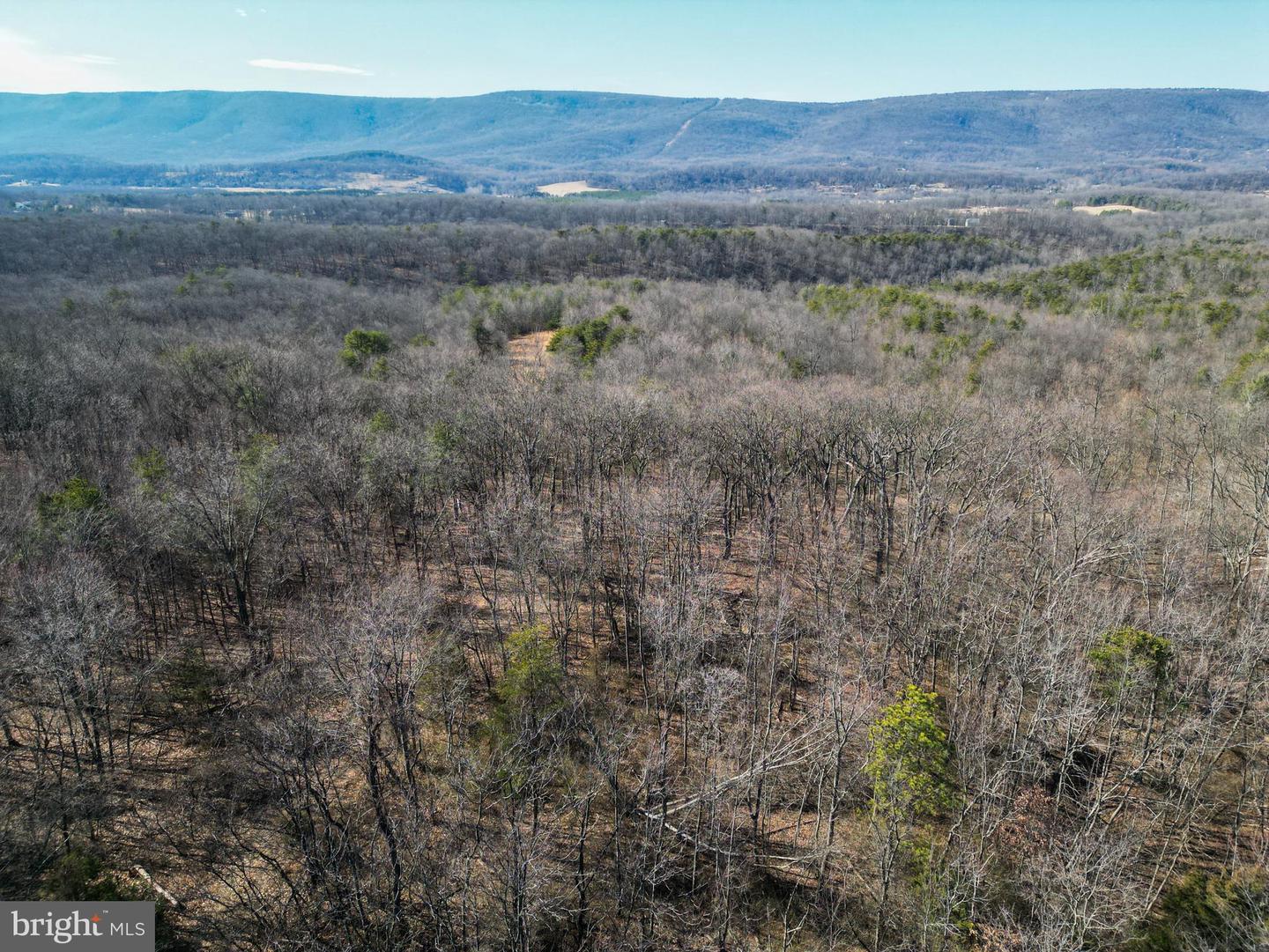 Wardensville Grade Property Photo 31