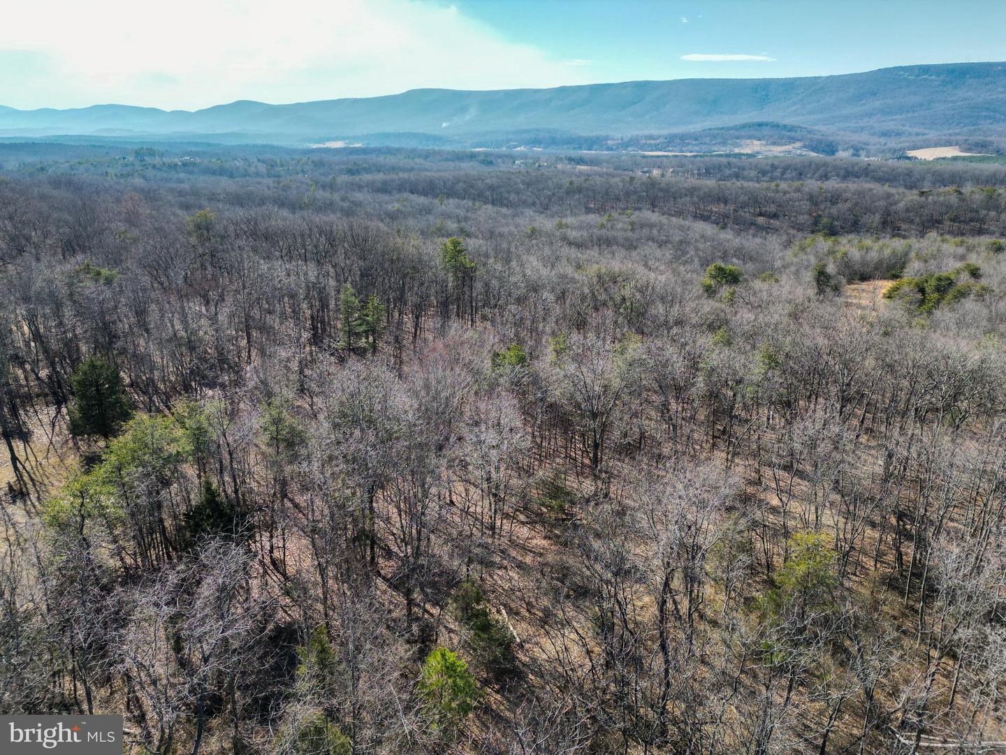 Wardensville Grade Property Photo 32