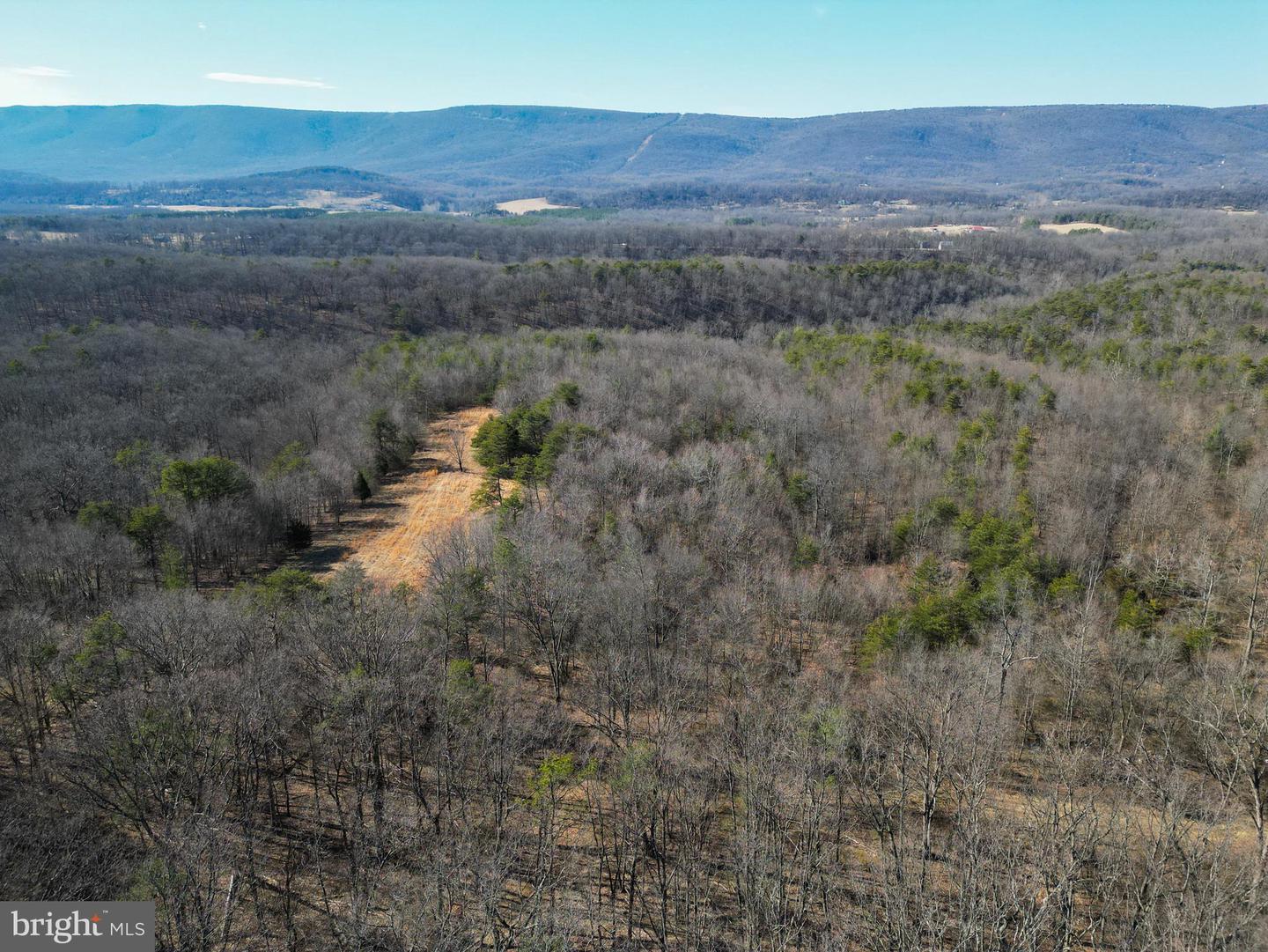 Wardensville Grade Property Photo 33