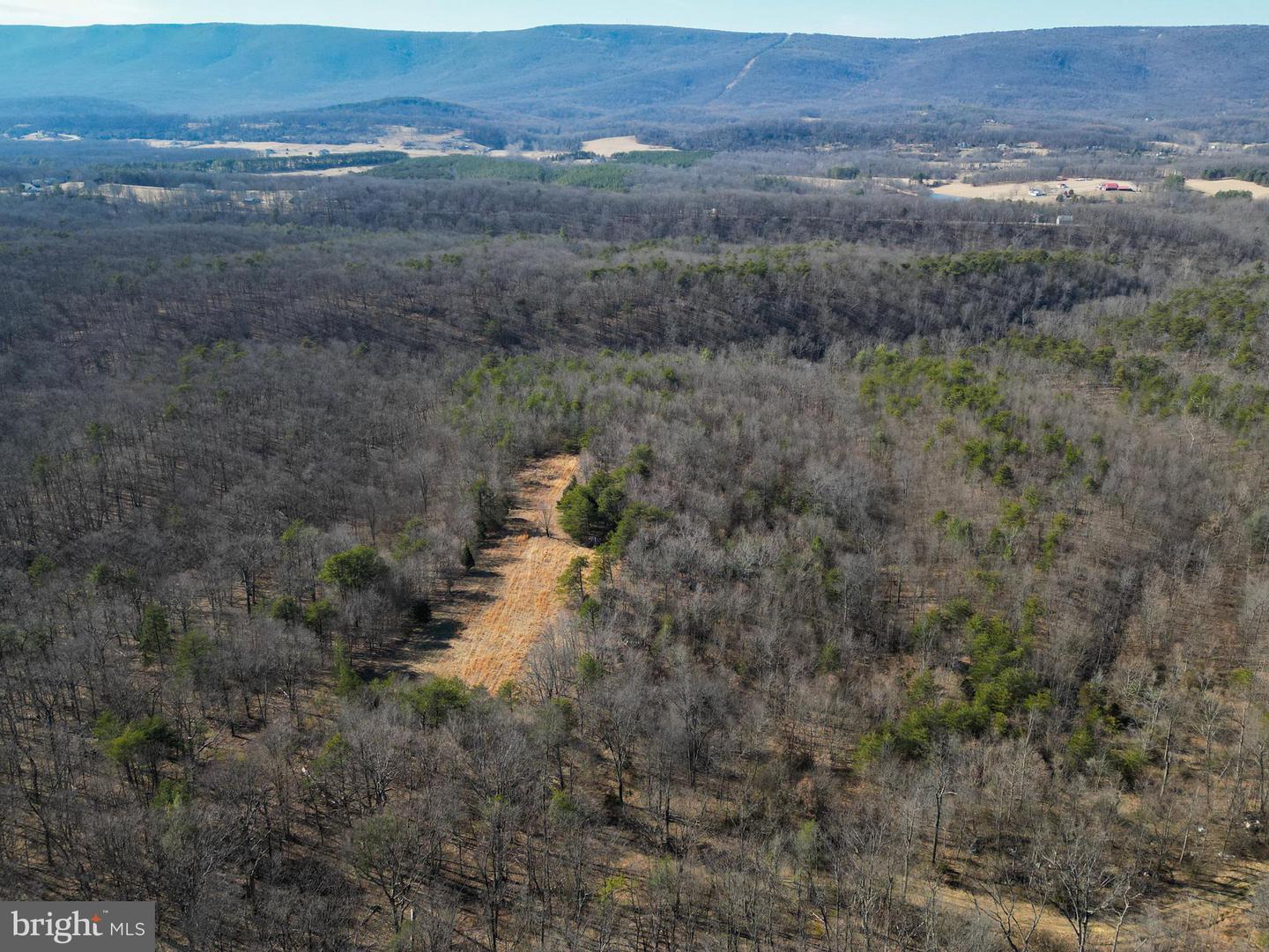 Wardensville Grade Property Photo 35