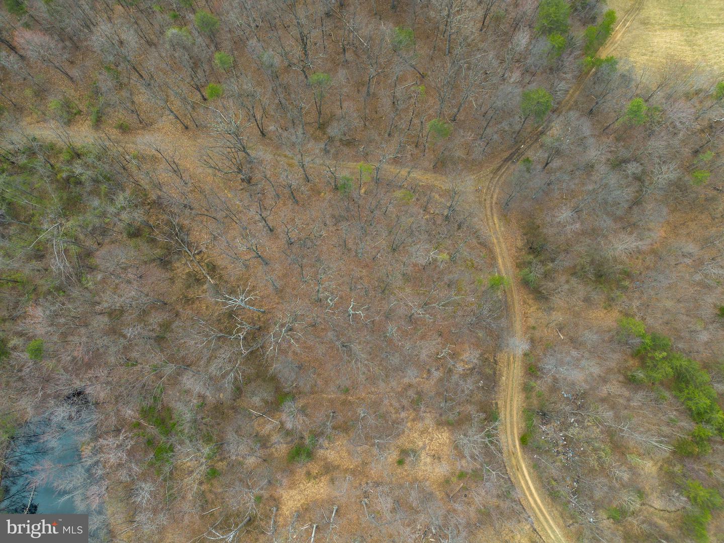 Wardensville Grade Property Photo 36
